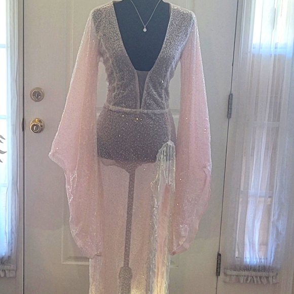 Gorgeous Evening Sheer Gown!!! - Picture 1 of 3